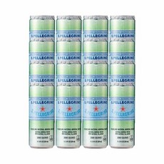 산펠레그리노 탄산수 플레인 캔, 330ml, 16개