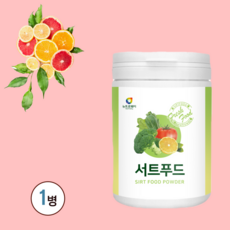 서트푸드다이어트