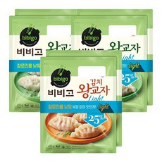 비비고라이트