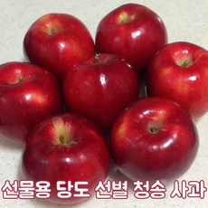 고당도 선별 사과 청송사과 홍로 최고급 2kg 3kg 5kg 선물세트 명절 가을 제철 선물용 가정용 업소용 식자재 경북, [선물용]대과(14~16과)5kg