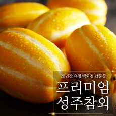 상주참외