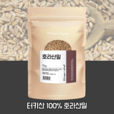 카무스