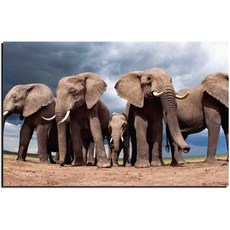 가족사진거실벽장식