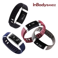 인바디밴드2