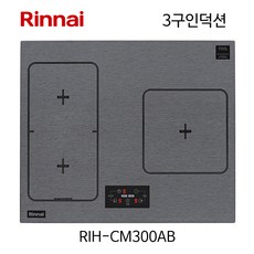 rih-cm300ab