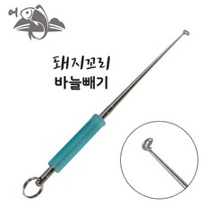 바늘빼기돌고래