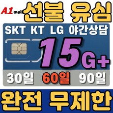 에이원몰 SKT 무제한 선불유심 칩 선불폰 유심카드, 100분 15GB+ 무제한, x2회 60일