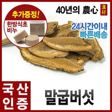 말굽버섯