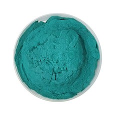 [하비코] 펄프클레이 7가지 색상 60g 200g 1kg, 초록 60g