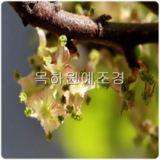 970838712d23a010944f3bca49cc9e56f7f8c0f58dc15abf02f0bae9c7c6.png