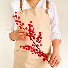 크리스마스꽃 TOP01