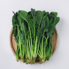 [산지직송] 남해 시금치 보물초 포항초, 1개, 1.5kg