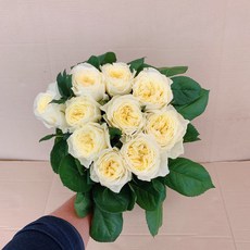 bb67e2edd478e8d4d0e0bac559375d184b5d6e6fa5a41bcb8daa9f9767c7.jpg