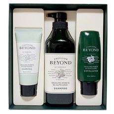 비욘드힐링포스