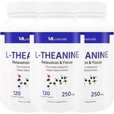 [미국번개배송] 착한명품 마이라이프 내추럴스 L-테아닌 250mg 120정 3병, 3개