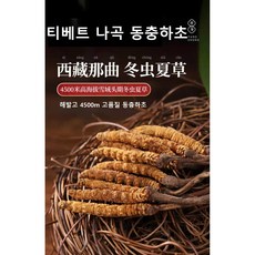 PetPal 동충하초 1g, 1개