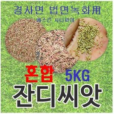 [경사면용/무료배송] 혼합양잔디씨앗 5kg 약50평 무료배송/발아율 80%이상/혼합풀씨 혼합종자 잔디씨 양잔디씨 잔디씨앗 법면녹화 사방공사, 1개