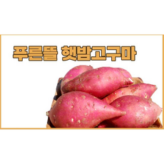 푸른뜰밤고구마