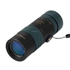 아이비노망원경