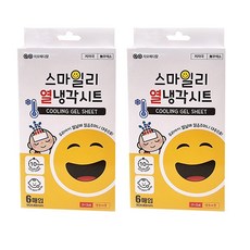 국내생산 스마일리 열냉각시트, 2개, 6매입