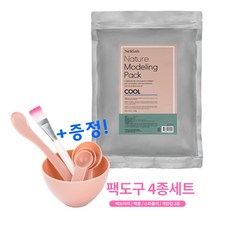 다앤 에스테틱 프리미엄 모델링팩 1kg 대용량