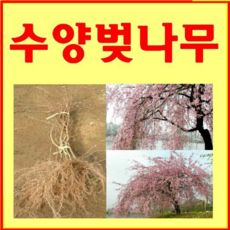 5504121deb38cff07cf2a437b13505d0ff7322ee1fd92d3428eed0e27d72.png