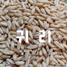 [후계자농산]수입 캐나다산 귀리 500g 1kg 오트밀 효능 다이어트 먹는법