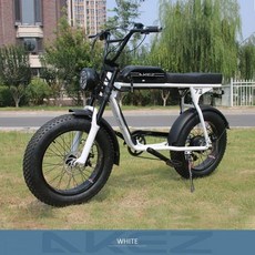 자전거보호필름 스티커 튜닝 데칼 체인가드 성인용 전기 자전거 팻 타이어 1500W 모터 7 단 전기 자전거, 09 48V 750W 18AH white