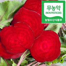 정이가비트