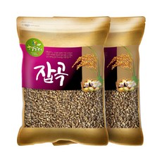 현대농산 국산 흑보리 10kg (5kgx2봉) 검정찰보리