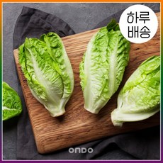 통로메인