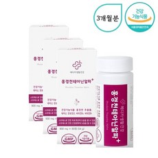 수험생 청소년 피로개선 긴장완화 테아닌 홍경천 60정X3통 3개월분 - THEANINE 비타민 영양제 에너지생성 코티솔 마음안정 학업스트레스 효과 효능 추천 감태 숙면 남자 여자, 3개, 60정