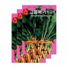아시아종묘 채소씨앗 - 고들빼기(5000립x3), 3개