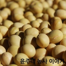 강원 산골 윤주네 메주콩 청국장콩 대두 왕태 중태 서리태 백태 흰콩 1 kg, 작은콩(중태)