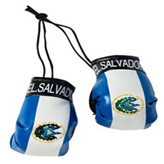 Artisan Owl El Salvador - Mini Boxing Gloves null, 1, Bg-prg-001