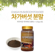 차가버섯분말 가루 베타글루칸 러시아차가버섯 차가버섯차 끓이는법 먹는방법 추천 시베리아 자작나무 차가버섯, 120g, 3병