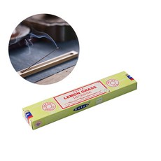 사티아나그참파