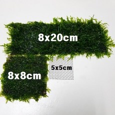 c755b3802df598a45a6770d6aaa7d3567a181d449217fe763da2e7ad944a.jpg