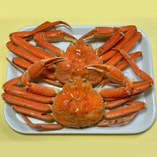 대게선어
