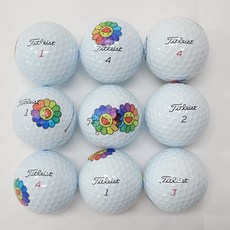 타이틀리스트 로스트볼 A급 PROV1 PROV1x 혼합구성 프린팅인쇄 수작업선별 비재생볼, 1개, 10개입 1개, 10개입