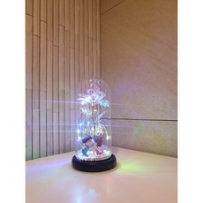 장미무드등 기념일 선물 장미등 유리돔 프리저브드 무드등 신랑신부 led등 소년소녀, 소년소녀 kiss