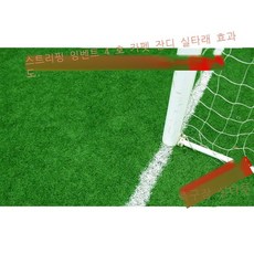 그린카펫씨앗