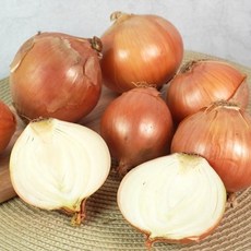 블루밍그린 국내산 단단한 무안 햇 양파 : 대 5kg, 1개