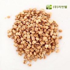 자연웰구운율무
