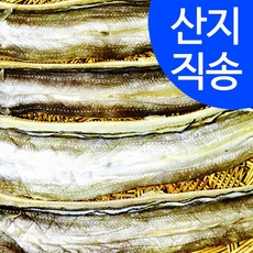 우리존 임피수산 국내산 반건조 아나고(붕장어) / 군산 산지 직배송, 3.반건조 아나고 3마리(대60cm), 1개