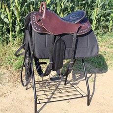 스포츠리터러시