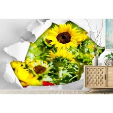 뮤럴벽지해바라기