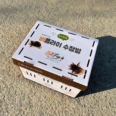 비플라이 국내산 수정벌 뒤영벌 호박벌 하우스벌 딸기 토마토 블루베리 멜론 참외 화분매개용, 1개