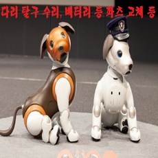 소니아이보6세대