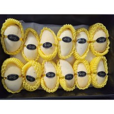 제주도애플망고농장